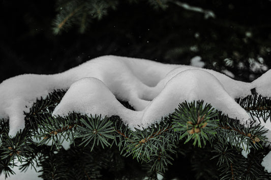 Durable, Weather-Resistant Feeders - Snowy Winters