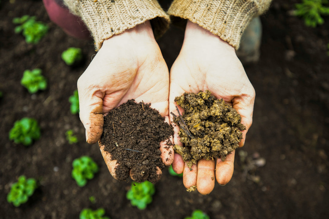 Composting 101: Turning Your Garden Waste into Black Gold