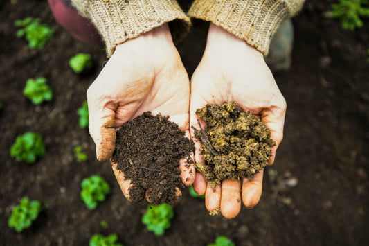 Composting 101: Turning Your Garden Waste into Black Gold