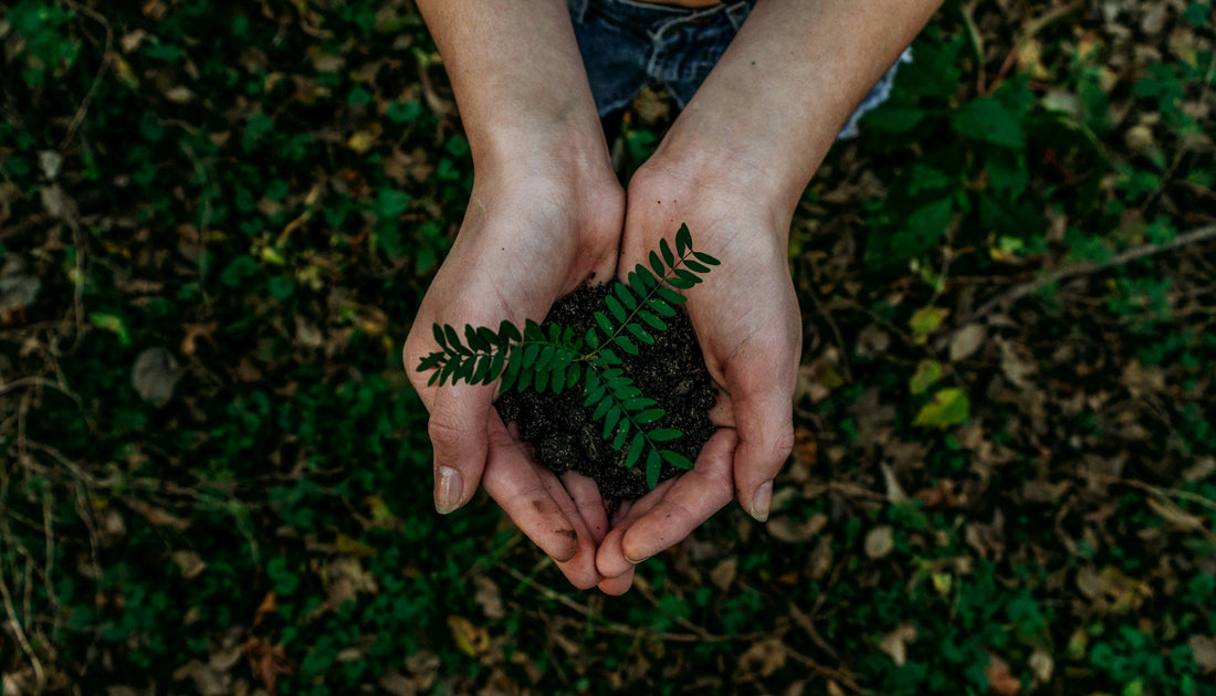 Addressing the Lack of Eco-Friendly Options: How Kelowna Woodcraft Fills the Gap