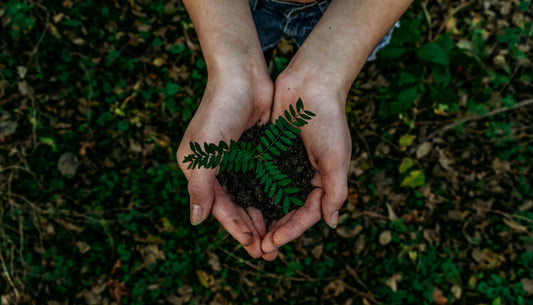 Addressing the Lack of Eco-Friendly Options: How Kelowna Woodcraft Fills the Gap