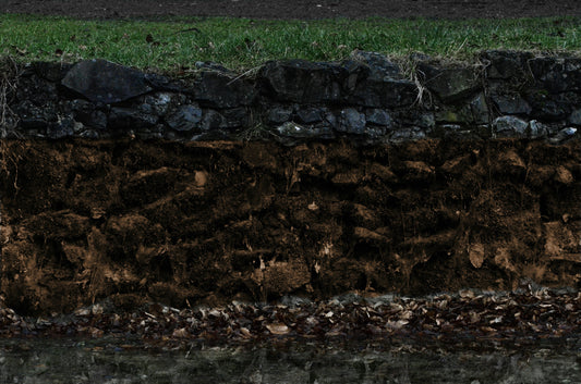 Do I Need Special Soil or Drainage? Setting Up for Success