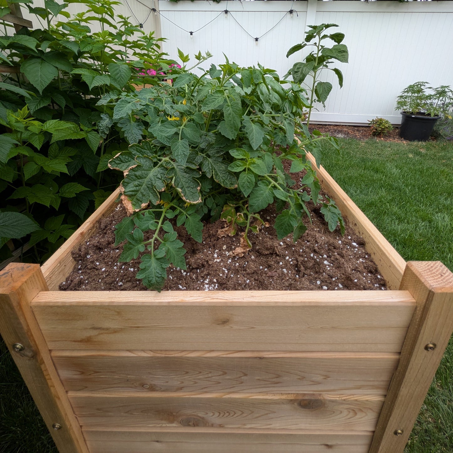 Handmade 3' Cedar Planter Box