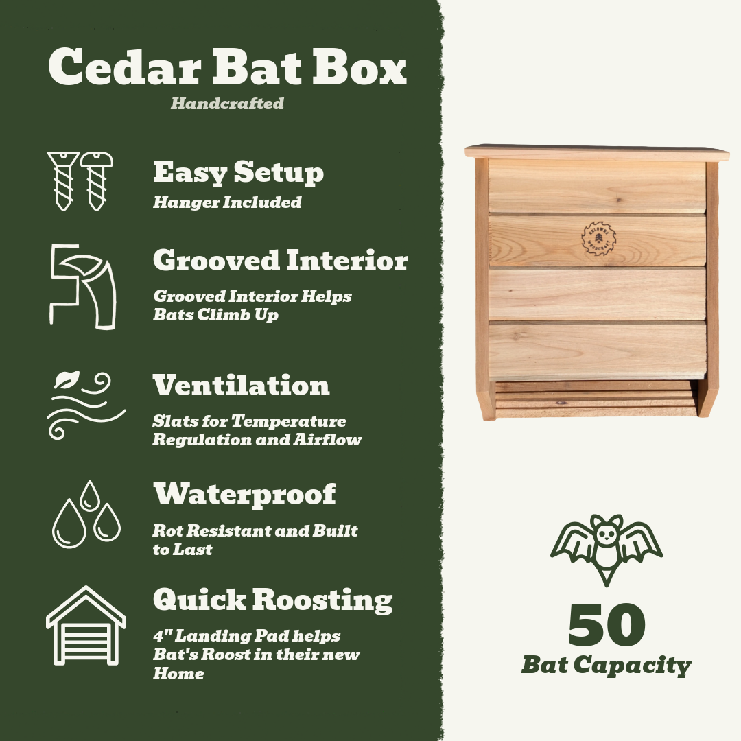 Cedar Bat Box for 50 Bats - Single Chamber