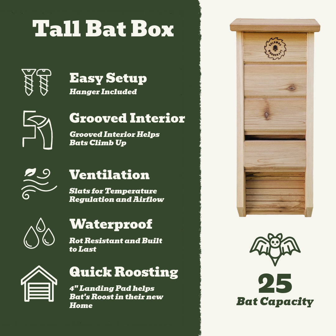 Wooden bat box with features listed on a green background