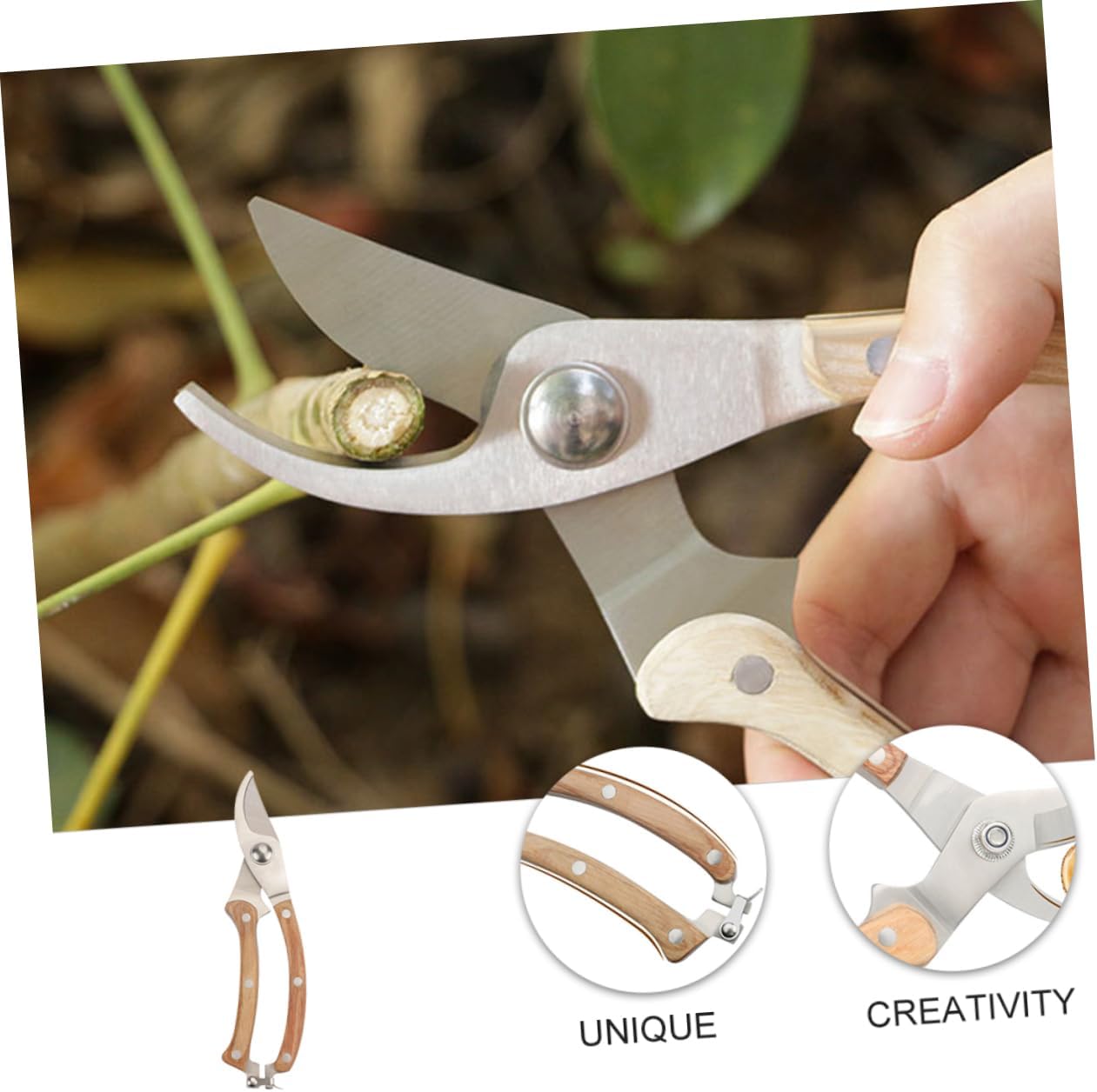 Professional Garden Pruning Shears – Sharp & Comfortable Grip