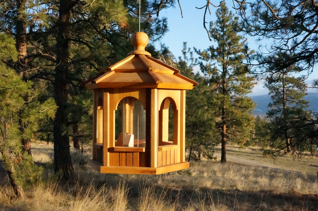 The Art of Feeder Placement: Elevate Your Garden's Harmony and Birdwatching Success