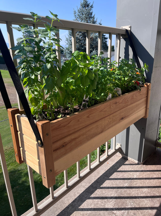 From Summer Blooms to Winter Herbs: Making the Most of My Balcony Planter