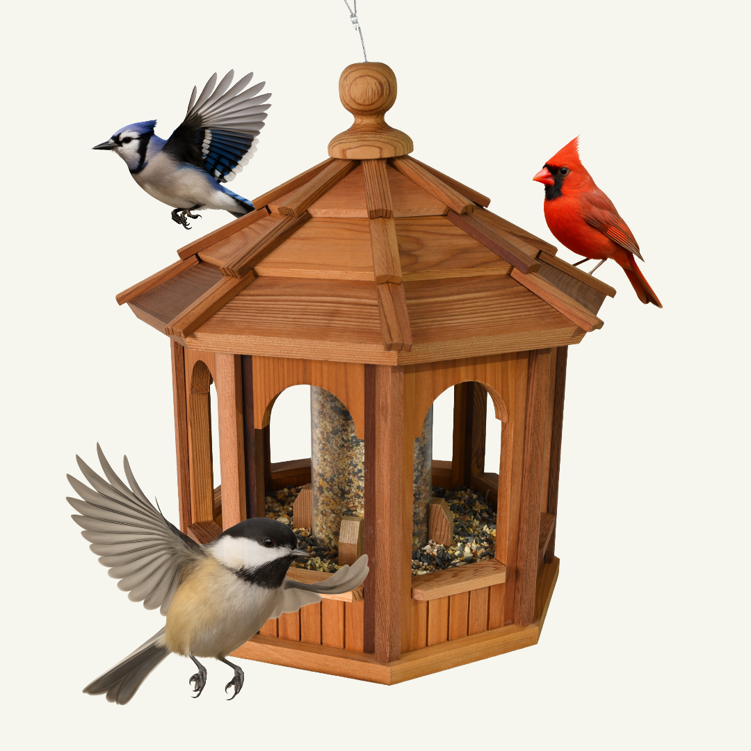 Bird Feeders