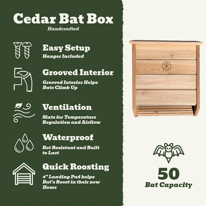 Cedar Bat Box for 50 Bats - Single Chamber