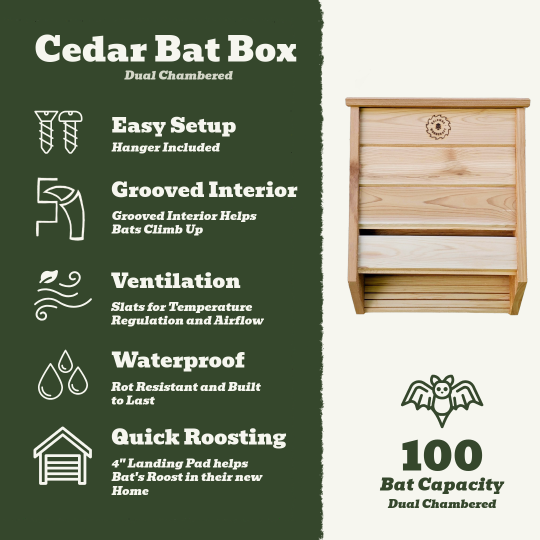 Cedar Bat Box for 100 Bats - Dual Chamber