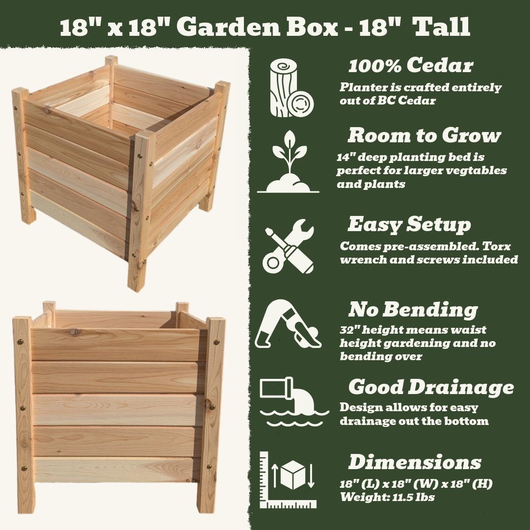 18" x 18" Garden Box - 18" Tall