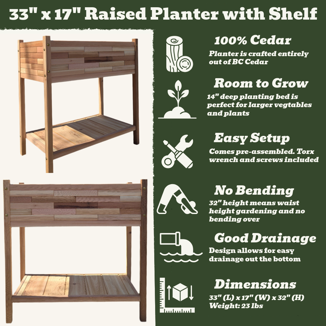 33" x 17" Raised Planter with Shelf - 32" Tall