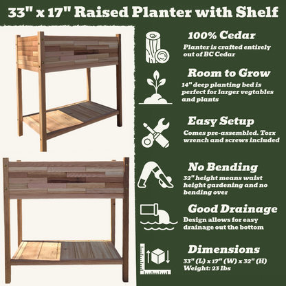 33" x 17" Raised Planter with Shelf - 32" Tall