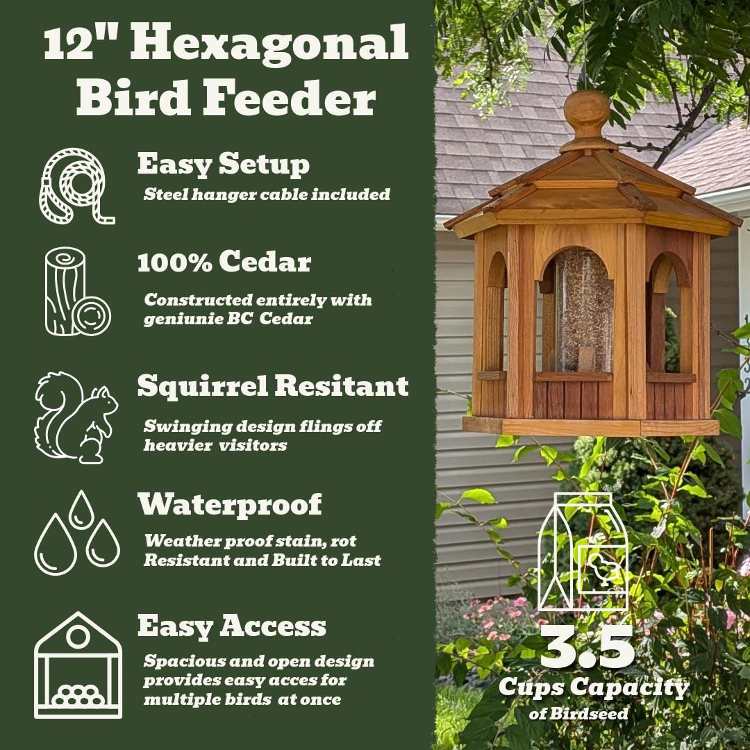 12" Cedar Bird Feeder — Handcrafted in BC, Holds 3.5 Cups of Seed