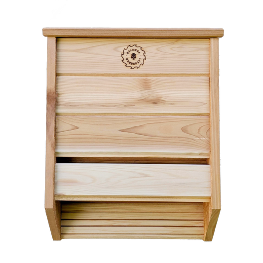 Wooden bat box with a visible brand logo on a white background